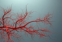 Фотографія Категорії Ліки при захворюваннях судин