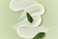 Фотографія Категорії Протимікробні засоби