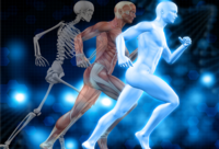 Фотографія Категорії Ліки для опорно-рухового апарату