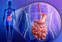 Фотографія Категорії Ліки для шлунково-кишкового тракту