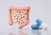 Фотографія Категорії Ліки від спазмів кишечника