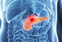 Фотографія Категорії ЛІки для підшлункової залози