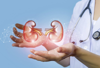 Фотографія Категорії Дієтичні добавки для сечовивідної системи