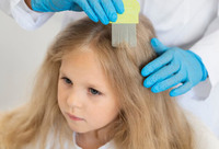 Фотографія Категорії Засоби при педикульозі