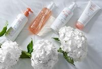 Фотографія Категорії Trixera