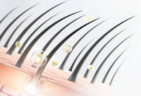 Фотографія Категорії Anacaps Progressiv