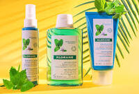 Фотографія Категорії М'ята