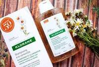 Фотографія Категорії Ромашка