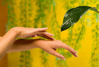 Фотографія Категорії Hand Care