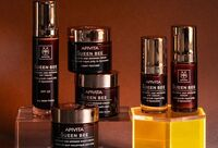 Фотографія Категорії Queen bee