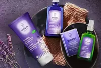 Фотографія Категорії Lavendel