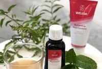 Фотографія Категорії Ratanhia