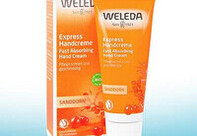 Фотографія Категорії Sanddorn