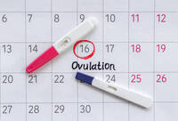 Фотографія Категорії Тести для визначення овуляції