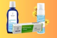 Фотографія Категорії Hamamelis