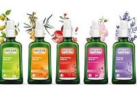 Фотографія Категорії Sea Buckthom