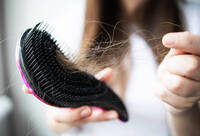 Фотографія Категорії Проти випадіння