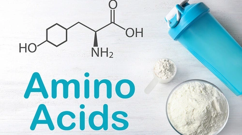 амінокислоти купити