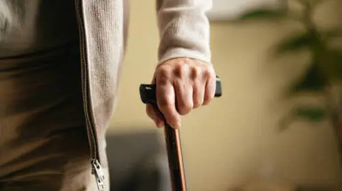 палиці купити